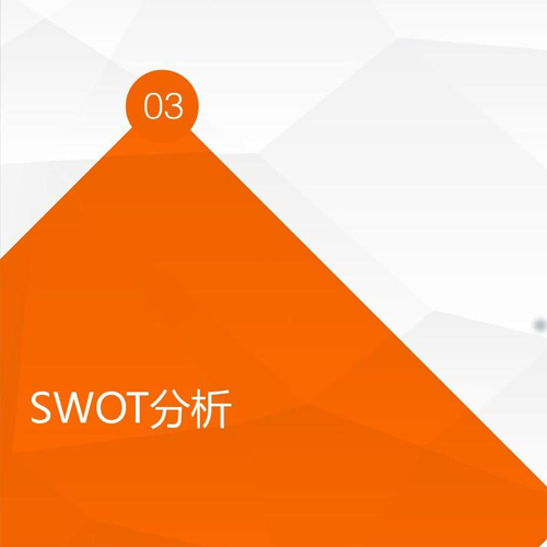 市場(chǎng)營(yíng)銷(xiāo)策劃